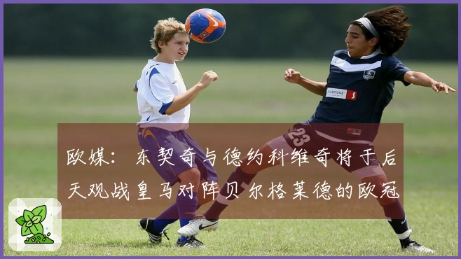 欧媒：东契奇与德约科维奇将于后天观战皇马对阵贝尔格莱德的欧冠比赛