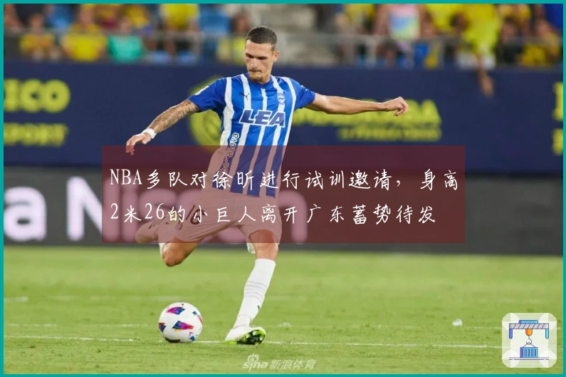 NBA多队对徐昕进行试训邀请，身高2米26的小巨人离开广东蓄势待发