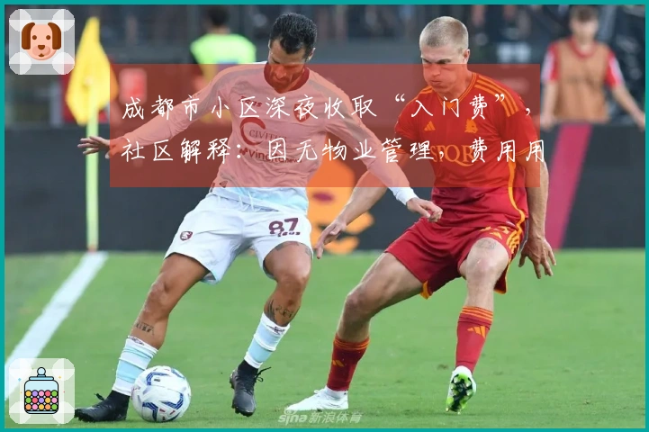 成都市小区深夜收取“入门费”，社区解释：因无物业管理，费用用于门卫津贴