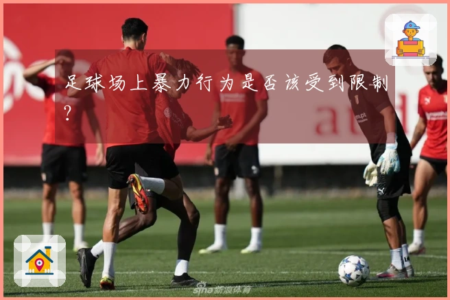 足球场上暴力行为是否该受到限制？