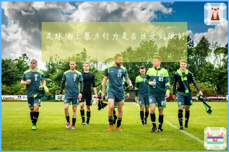 足球场上暴力行为是否该受到限制？
